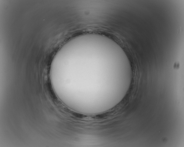 X0000113910703200909241306