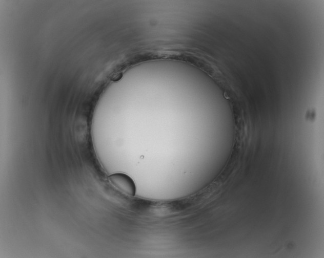 X0000113910704200909241306