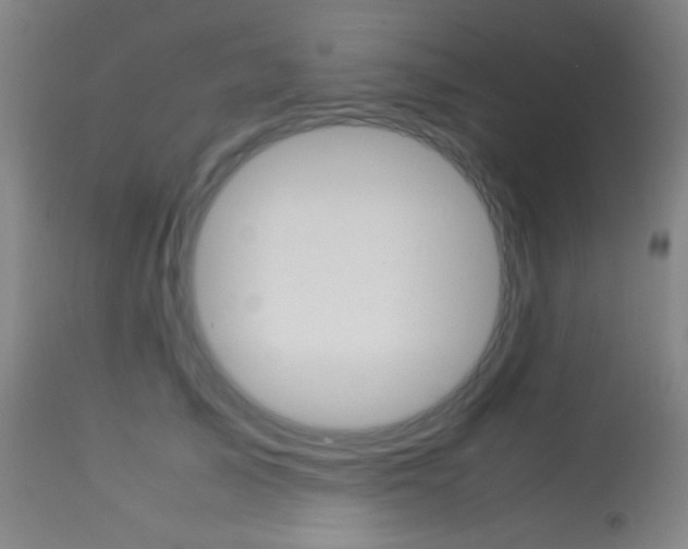 X0000113910705200909241306