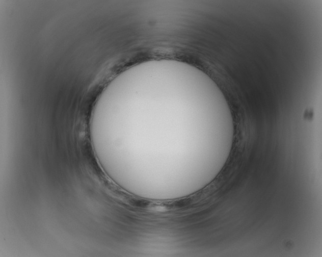 X0000113910706200909241306