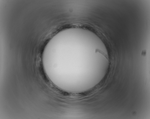 X0000113910707200909241305
