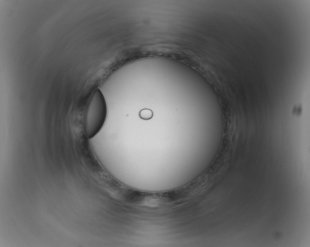 X0000113910708200909241305