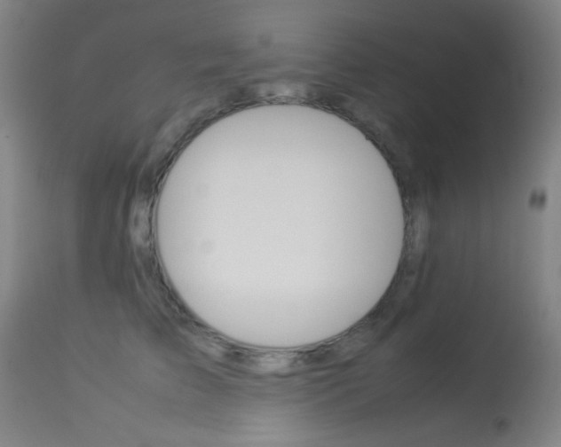 X0000113910709200909241305