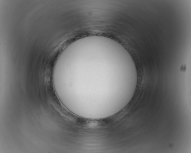X0000113910710200909241305