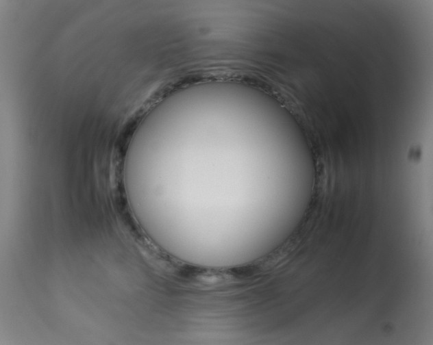 X0000113910712200909241305