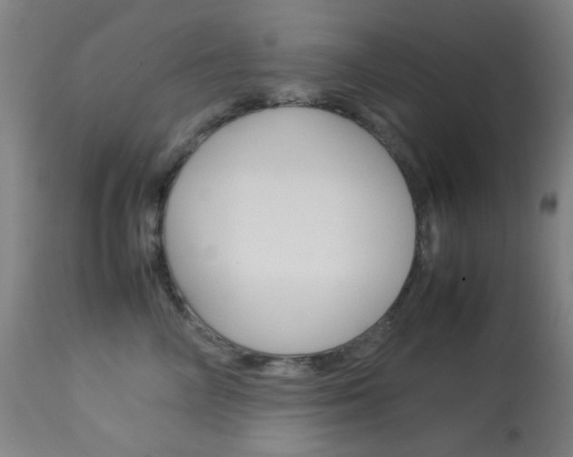 X0000113910714200909241305
