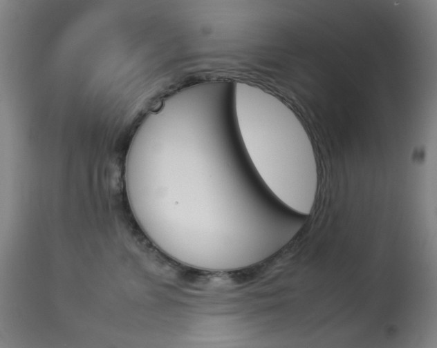 X0000113910715200909241305