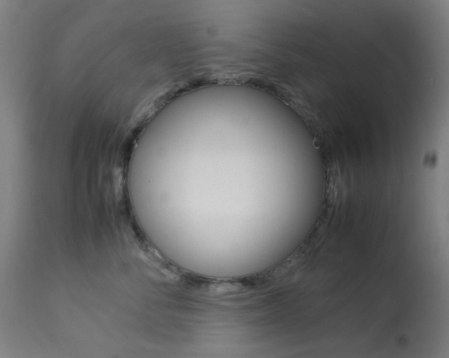 X0000113910716200909241305