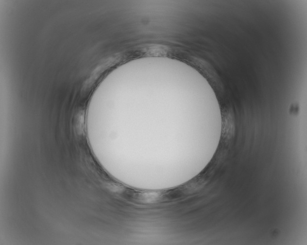 X0000113910717200909241305