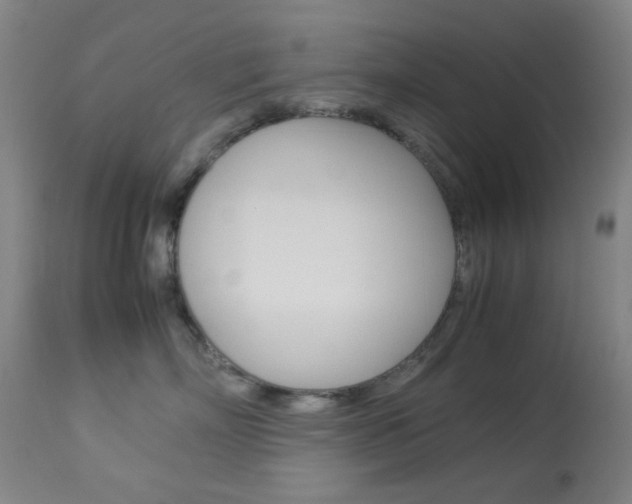 X0000113910718200909241305