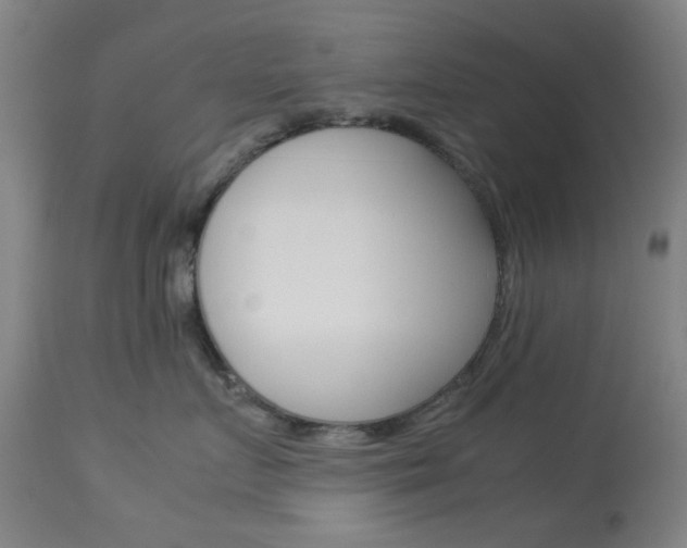 X0000113910719200909241305