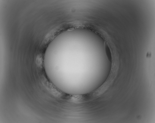 X0000113910720200909241305