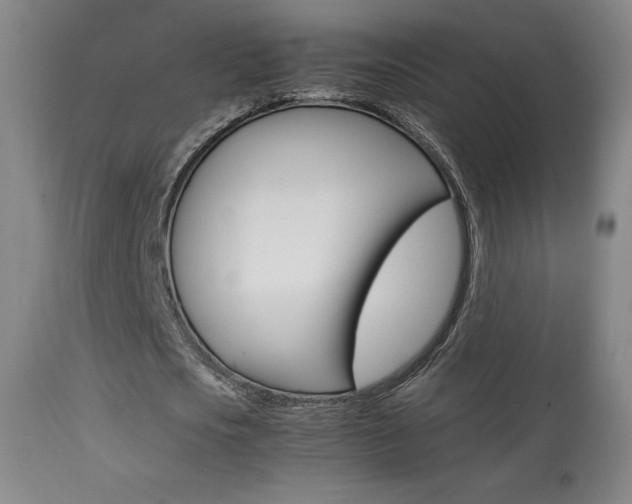 X0000113910721200909241305