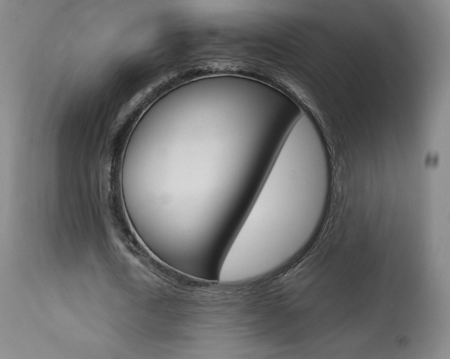 X0000113910722200909241305