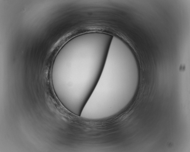 X0000113910723200909241305