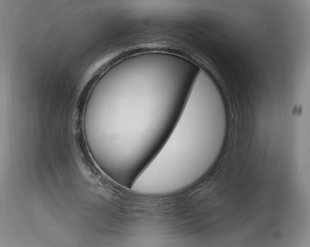 X0000113910724200909241305