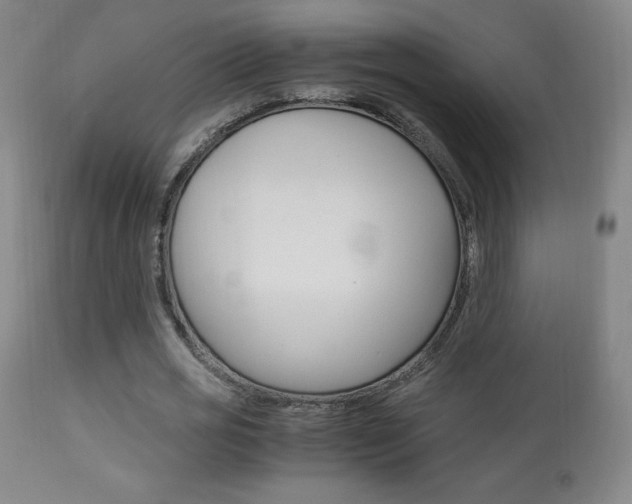 X0000113910725200909241305