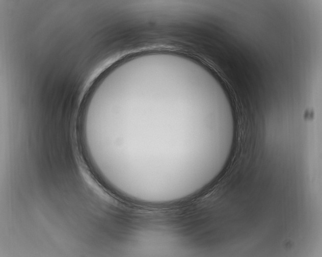 X0000113910726200909241305