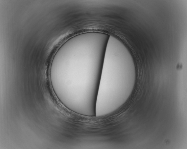 X0000113910727200909241305