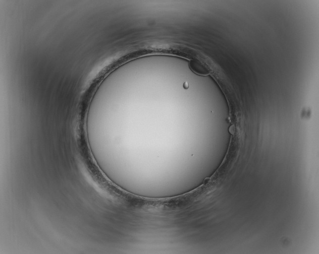 X0000113910728200909241305