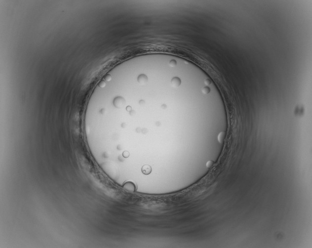 X0000113910729200909241305