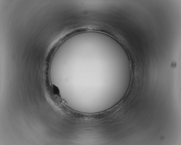 X0000113910730200909241305