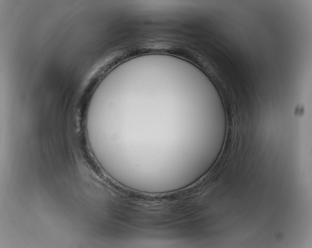 X0000113910731200909241305