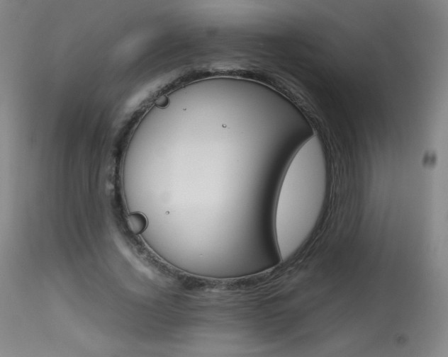 X0000113910732200909241305