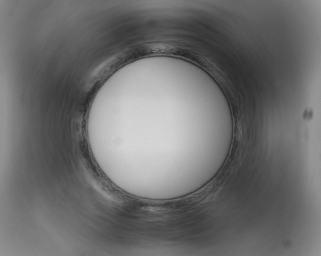 X0000113910733200909241305