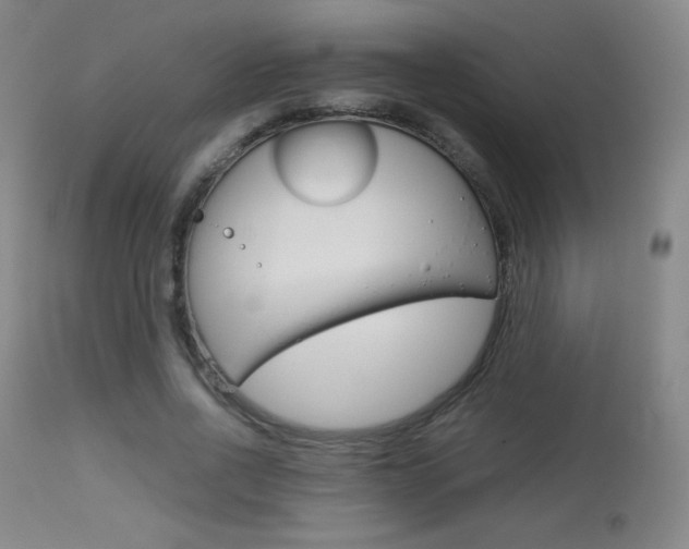X0000113910734200909241305