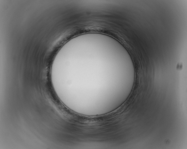 X0000113910735200909241305