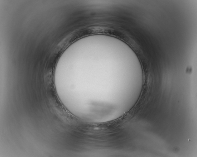 X0000113910737200909241305