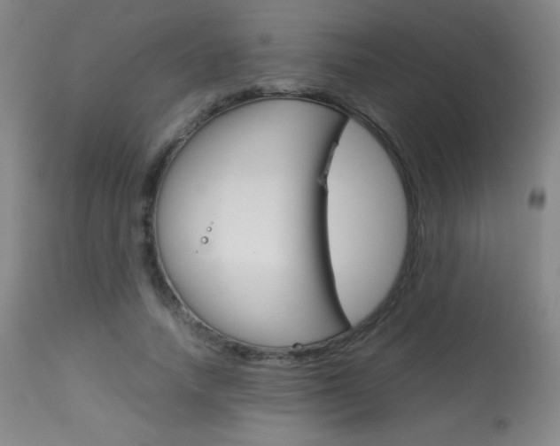 X0000113910738200909241305