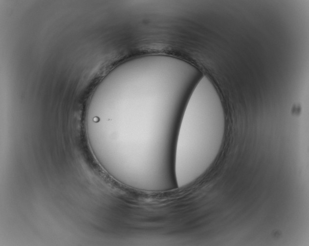 X0000113910739200909241305