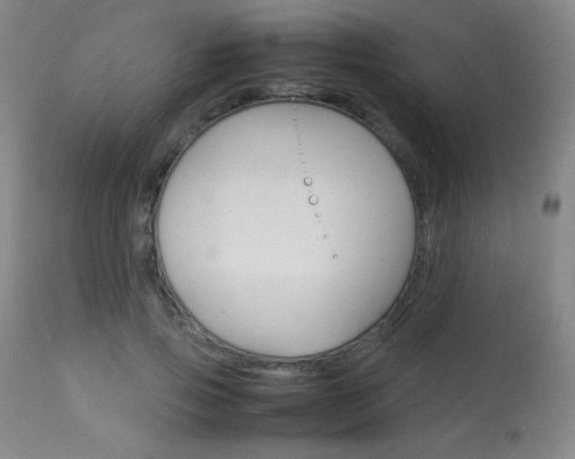 X0000113910741200909241305