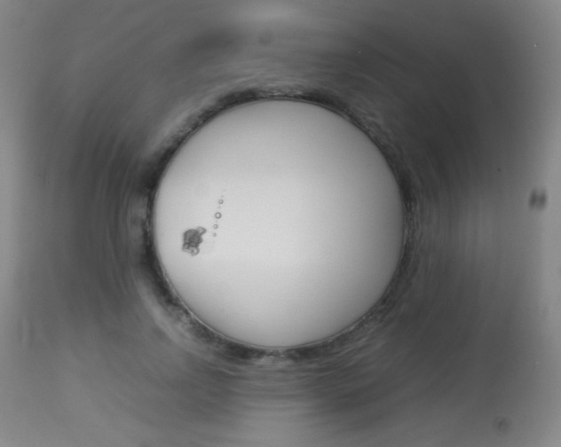 X0000113910742200909241305