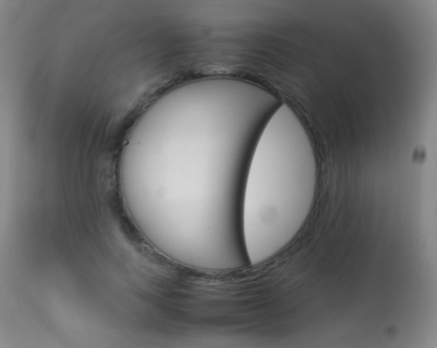 X0000113910743200909241305