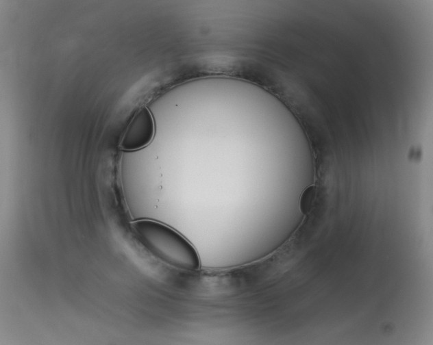 X0000113910744200909241305