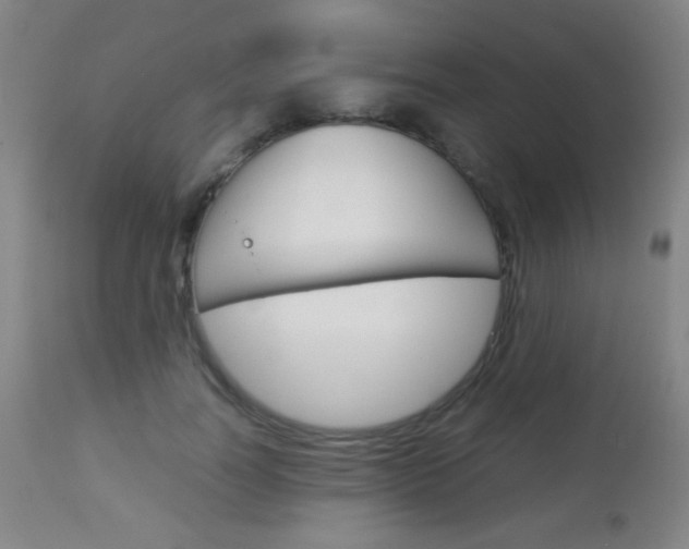 X0000113910746200909241305
