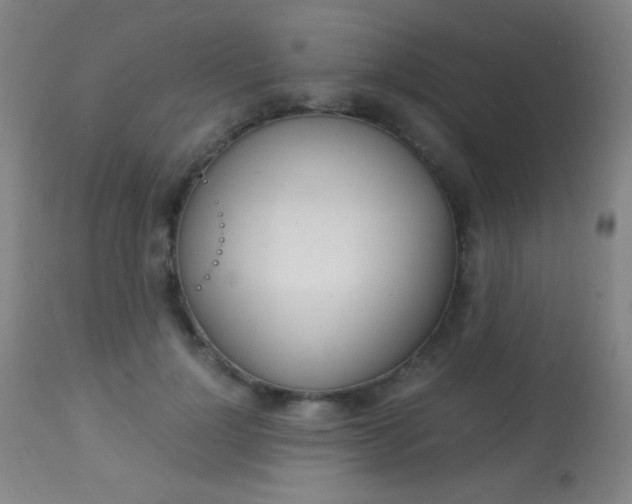 X0000113910748200909241305