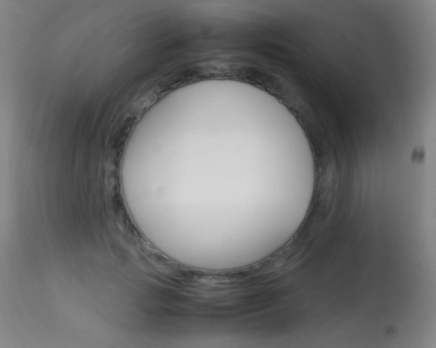 X0000113910749200909241305