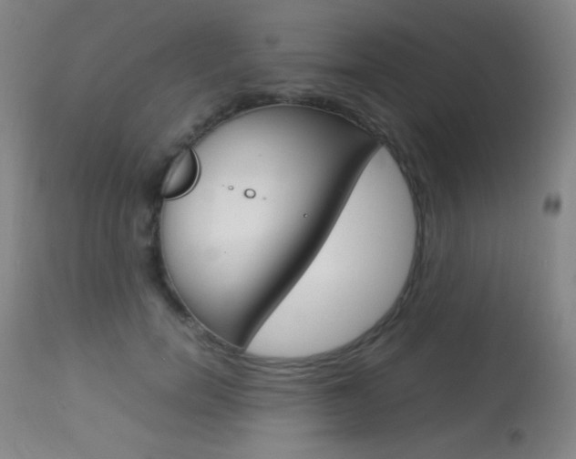 X0000113910750200909241305