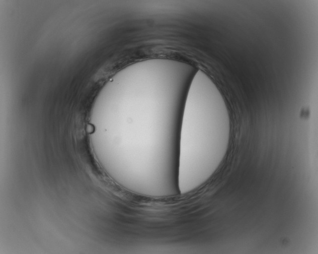 X0000113910751200909241305