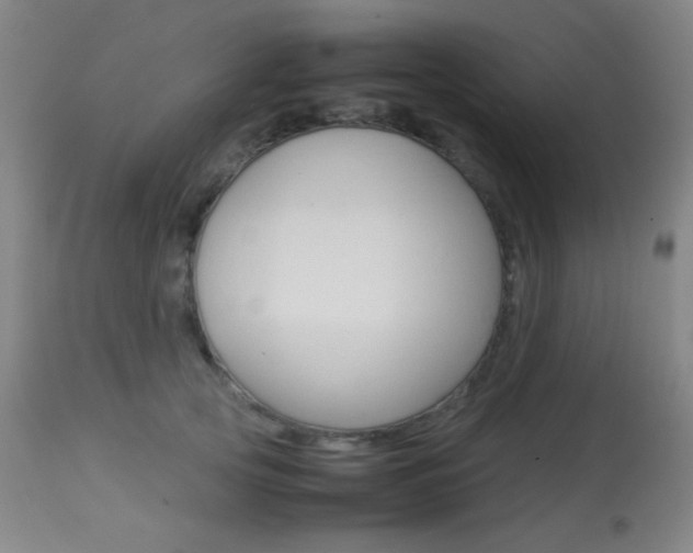 X0000113910753200909241305