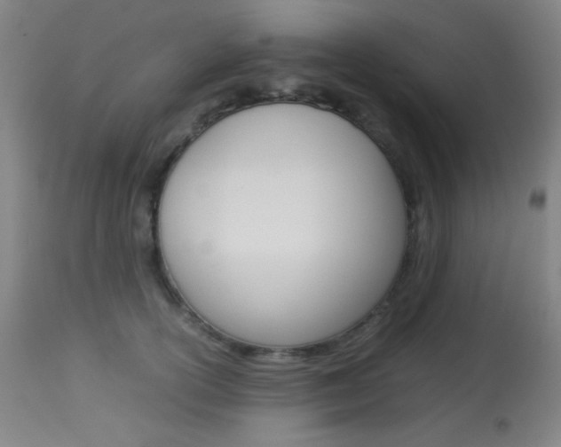 X0000113910754200909241305