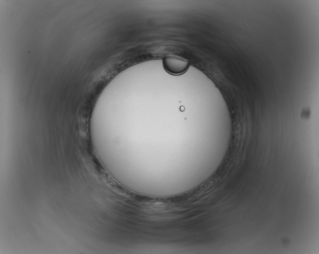X0000113910755200909241305