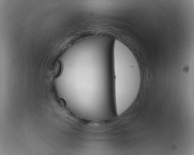 X0000113910756200909241305