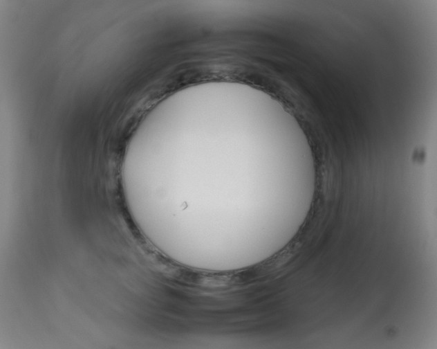 X0000113910757200909241305