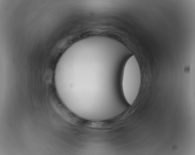 X0000113910758200909241305