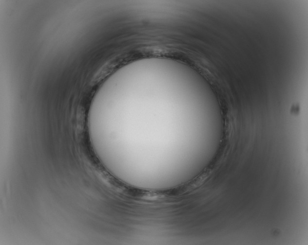 X0000113910760200909241305